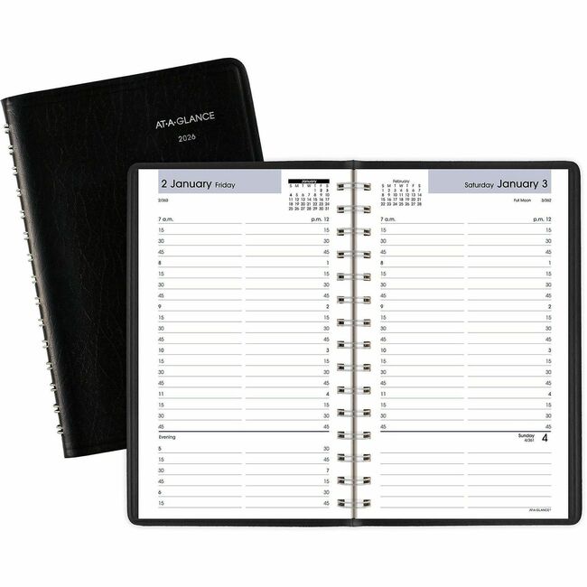 At-A-Glance DayMinder Appointment Book Planner