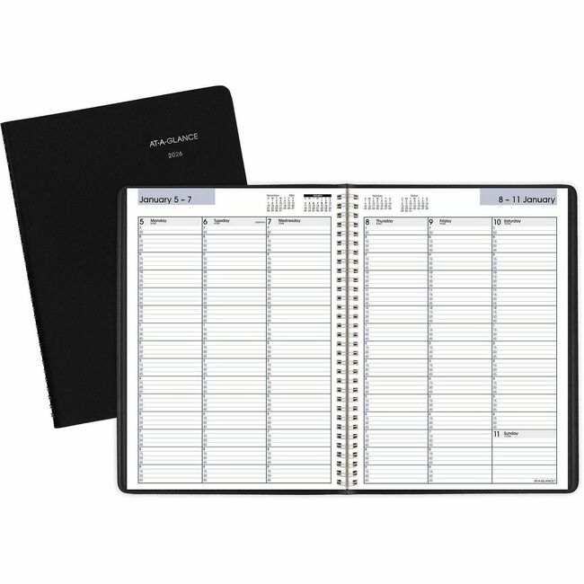 At-A-Glance DayMinder Appointment Book Planner