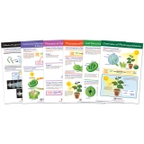 Tidal MP Copy Paper, 92 Brightness, 20lb, 11 x 17, White, 500 Sheets/Ream
