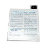Tidal MP Copy Paper, 92 Brightness, 20lb, 11 x 17, White, 500 Sheets/Ream