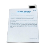 Tidal MP Copy Paper, 92 Brightness, 20lb, 11 x 17, White, 500 Sheets/Ream