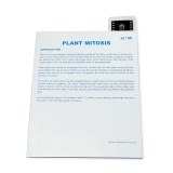 Tidal MP Copy Paper, 92 Brightness, 20lb, 11 x 17, White, 500 Sheets/Ream