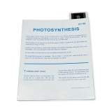 Tidal MP Copy Paper, 92 Brightness, 20lb, 11 x 17, White, 500 Sheets/Ream