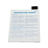 Tidal MP Copy Paper, 92 Brightness, 20lb, 11 x 17, White, 500 Sheets/Ream