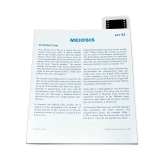 Tidal MP Copy Paper, 92 Brightness, 20lb, 11 x 17, White, 500 Sheets/Ream