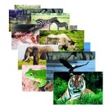Tidal MP Copy Paper, 92 Brightness, 20lb, 11 x 17, White, 500 Sheets/Ream