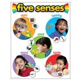 Tidal MP Copy Paper, 92 Brightness, 20lb, 11 x 17, White, 500 Sheets/Ream