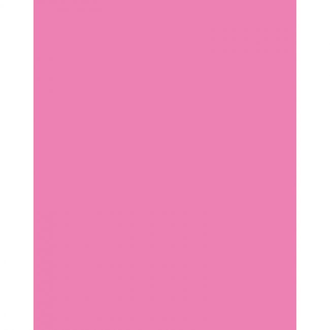 Neon Coated Poster Board, Neon Pink, 22