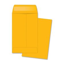  Coin Envelopes 