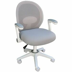 Boss Grey Mesh, Flip Arm, Task Chair, White Frame