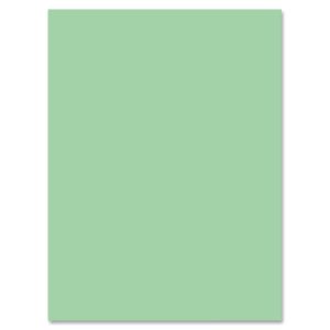 Nature Saver Construction Paper