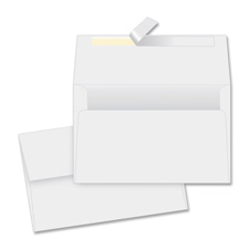  Specialty Envelope 