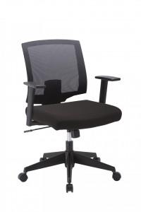 Task Chair w/Arms Black Seat/Black Back