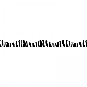 Magnetic Border Zebra Print, 12' Per Pack, 6 Packs