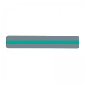 Reading Guide Strips Green 