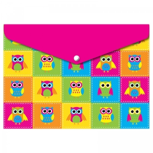Smart Poly Folder, 13" x 9.5", Color Owls, Pack of 6