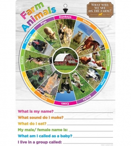 Smart Poly Smart Wheel, Farm Animals