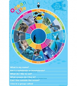 Smart Poly Smart Wheel, Ocean Animals