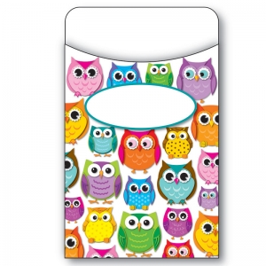 (6 PK) COLORFUL OWLS LIBRARY POCKETS