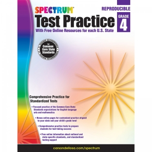 Test Practice Workbook, Grade 4