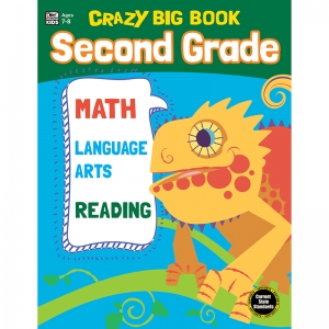 CRAZY BIG BOOK GRADE 2   