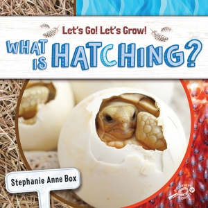 What Is Hatching Reader, Grade K-2, Paperback