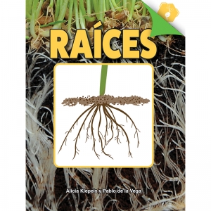 Races Book, Hardcover