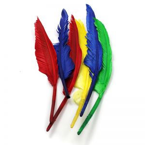 Quill Feathers, 10" & 12", 6 Per Pack, 12 Packs