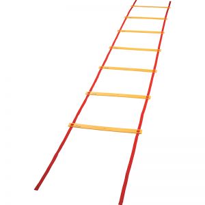 Economy Agility Ladder