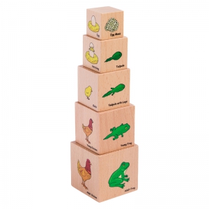 Lifecycle Wooden Blocks - Set of 5