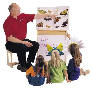 Big Book Easel Write-n-wipe