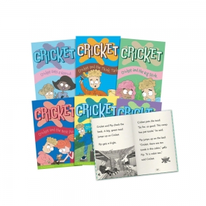 DECODABLE CHAPTER BOOKS PHASE 4 