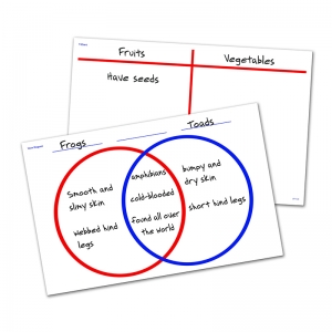 Venn Diagram/t-chart Write & Wipe  Desk Mat