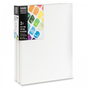 BASICS Canvas 3 pack - 12" x 16"