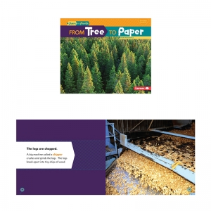 Start to Finish, From Tree to Paper