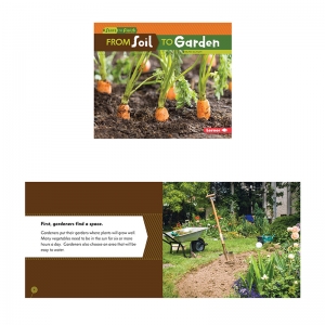 Start to Finish, From Soil to Garden