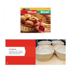 Start to Finish, From Wheat to Bread