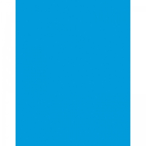 Coated Poster Board, Blue, 22" x 28", 25 Sheets