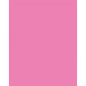 Neon Coated Poster Board, Neon Pink, 22" x 28", 25 Sheets
