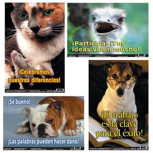 Spanish Fun Photo Posters Set 10 4 Poster Set