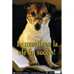 Fun Photo Posters Set #10 French 