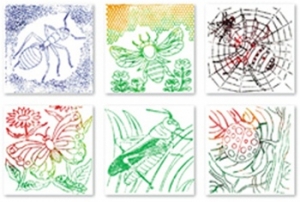 Bug Rubbing Plates, 6 Per Pack, 2 Packs