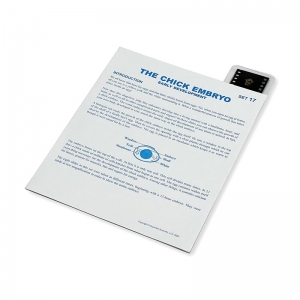 Microslide, The Chick Embryo, 35mm