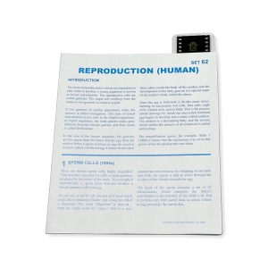 Microslide, Reproduction, 35mm