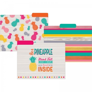Tropical Punch File Folders, Letter Size, 12 Per Pack, 2 Packs
