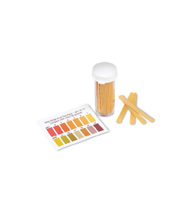 PH PAPER 100 STRIPS 