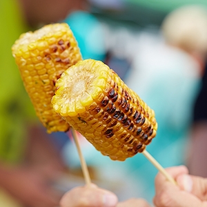 Wooden Skewer 4.5" 0.17" Diameter