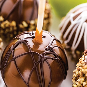 Wooden Skewer 5 1/2" x 1/4" Diameter