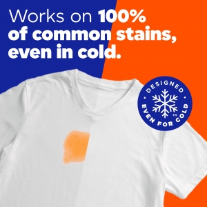 Tide Liquid Laundry Detergent 10 oz., Original Scent