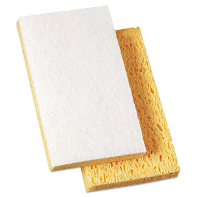 Scouring Pads & Sticks